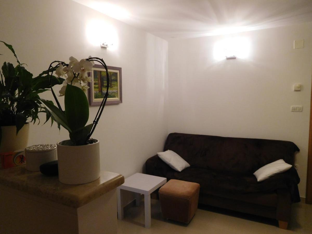Alida Apartments & Room Near The Sea Ровинь Экстерьер фото